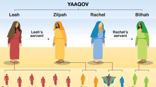 Génesis 29:31-30:21