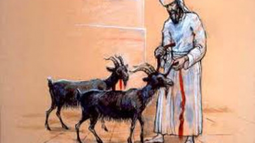 5645ba_28d9a9ef8a994c348cf3c84f323cc8ac