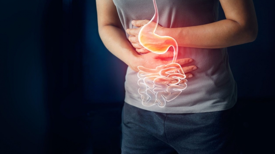 cropped-iStock-1023232572.jpg