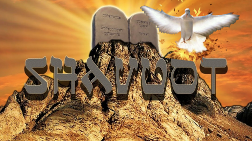 Screenshot 2019-06-13 19.39.10