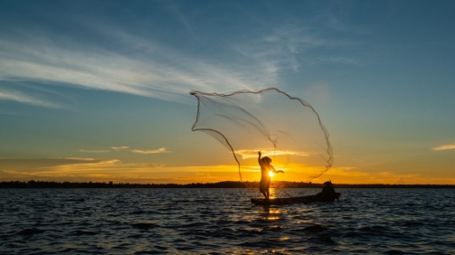cropped-iStock-959171632.jpg