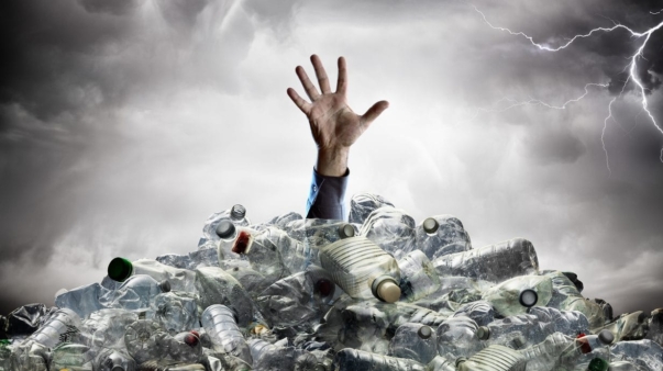 cropped-iStock-1131617208.jpg