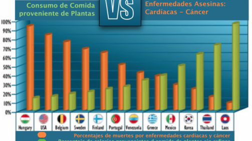 Screen Shot 2019-08-23 at 10.57.51 AM