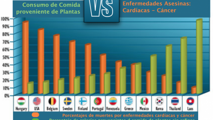 Screen Shot 2019-08-23 at 10.57.51 AM