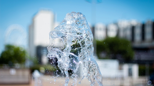 alexis-pineaud-WVFqoNywFUE-unsplash