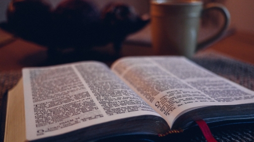 bible-1031288_1280