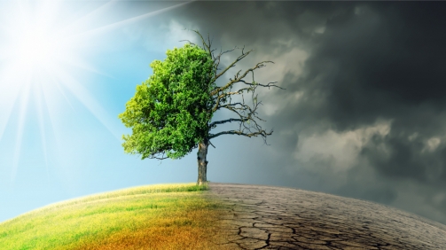 shutterstock_1269582256