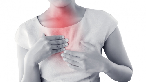 shutterstock_479011654