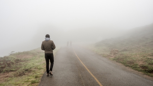 shutterstock_601608659