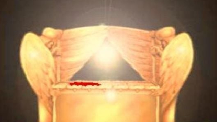 Arca del pacto según Ron Wyatt