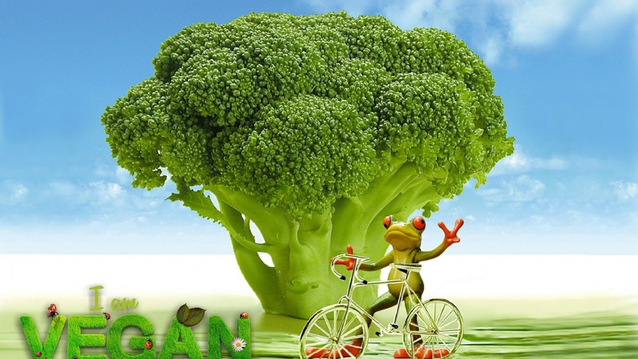 vegan-1285226_1280