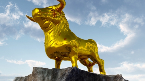 shutterstock_431033386 copy