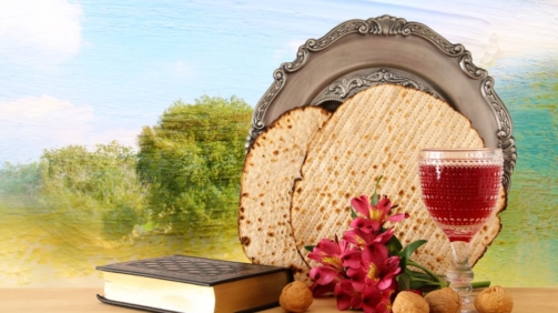 shutterstock_1047169231