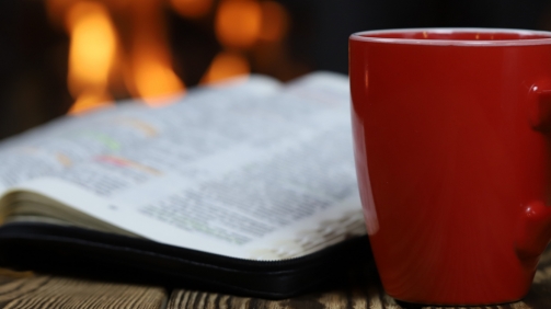 shutterstock_1241351635