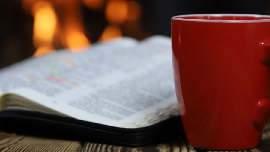 shutterstock_1241351635