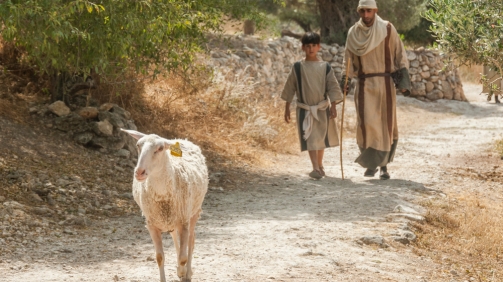 shutterstock_1337485208