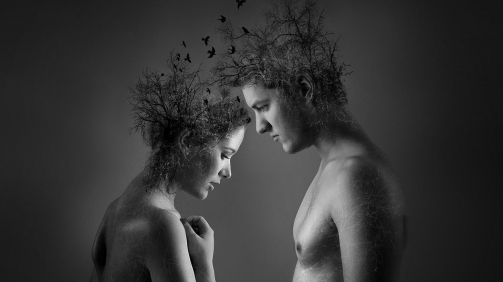 portrait-3113651_1280