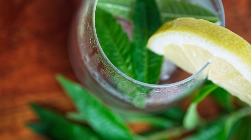 lemonade-5447855_1280