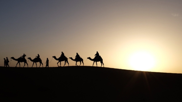 camels-1149803_1920