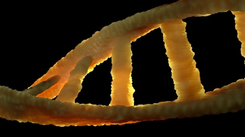 dna-1388696_1280