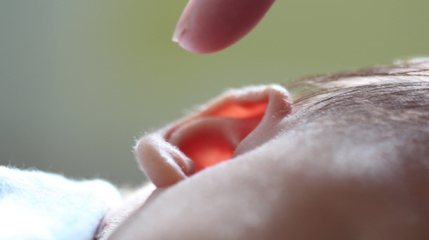 ears-2545756_1920