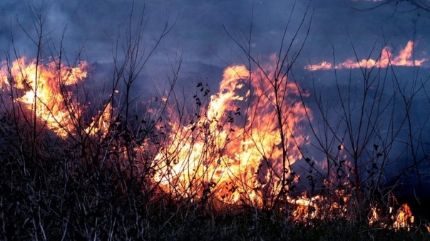 fire-1265717_1280