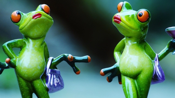 frogs-1199810_1920