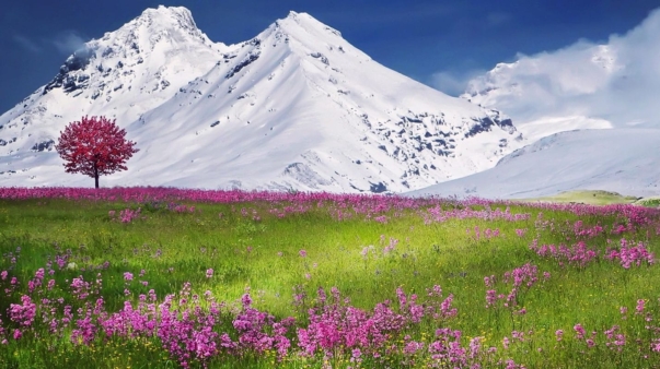 mountains-736886