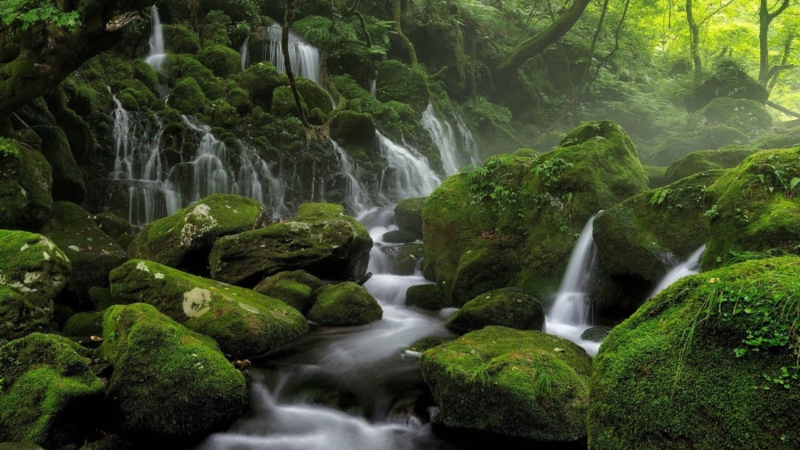 river-5524569_1920