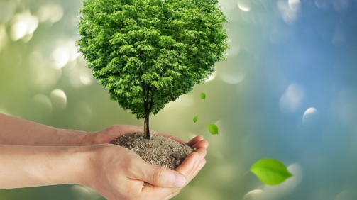 climate-protection-7143295_1920