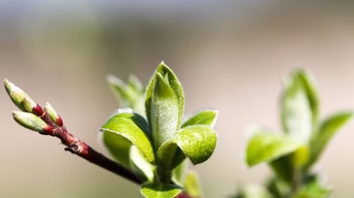 shoot-4538812_1280 (1)